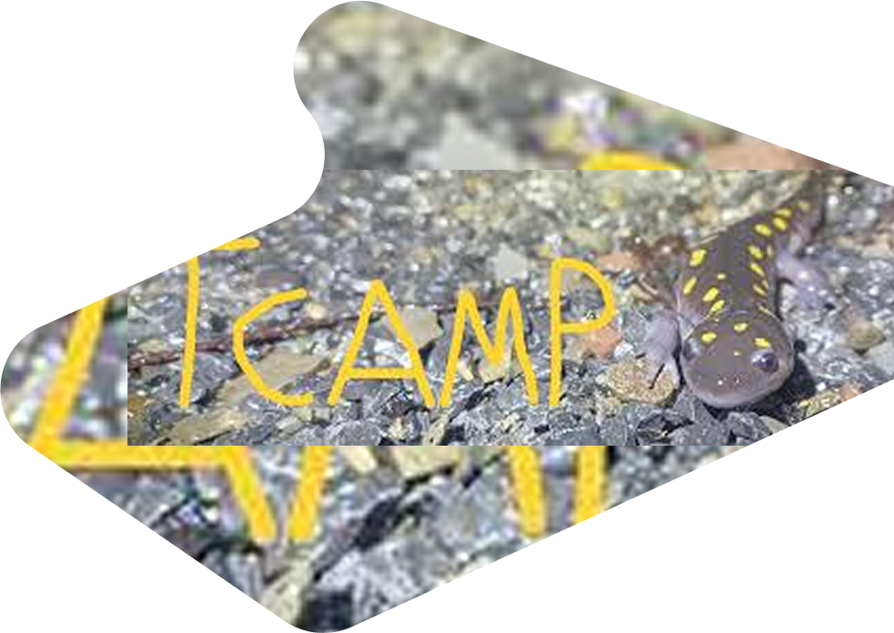 TCAMP